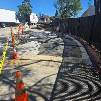 Sidewalk cones tree